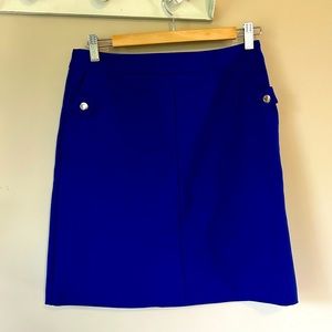 NWOT Indigo Skirt Size 6